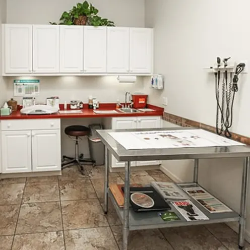 Exam Room at The Animalife Veterinary Center at Mission Hills